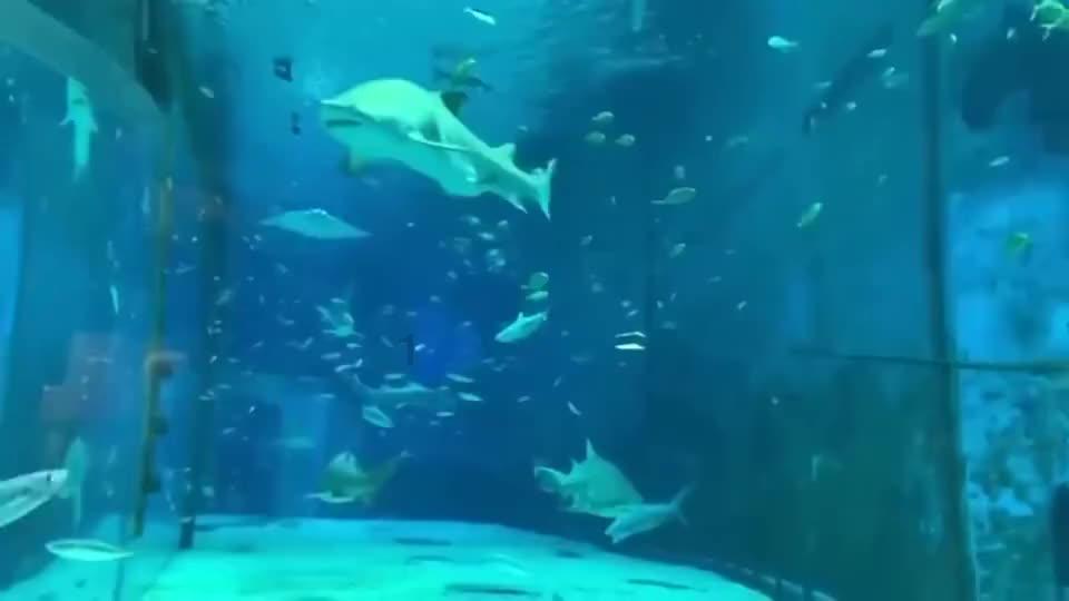 万词王